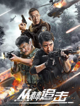 《丛林追击》[2024年][动作/犯罪][夸克网盘]