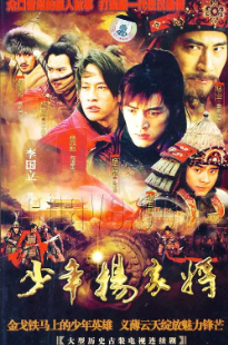 [国产剧]《少年杨家将》[2006年][古装][夸克网盘][豆瓣评分8.4]