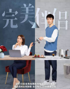 [国产剧]《完美伴侣》[2022年][爱情][夸克网盘]