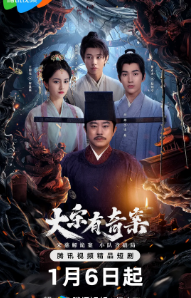 [国产剧]《大宋有奇案》[2025年][悬疑/犯罪][夸克网盘]