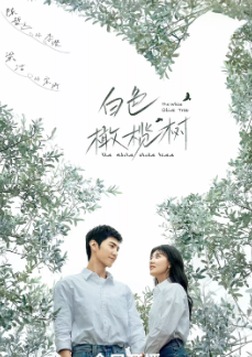 [国产剧]《白色橄榄树》[2025年][爱情][夸克网盘]