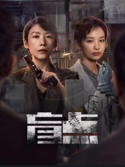 [国产剧]《盲点》[2025年][犯罪][夸克网盘]