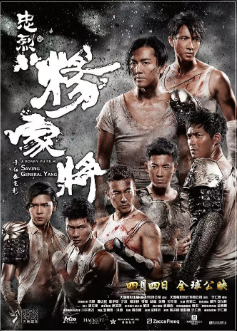 《忠烈杨家将》[2013年][战争/古装][夸克网盘]
