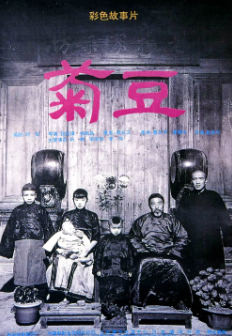 《菊豆》[1990年][夸克网盘]
