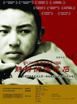《静静的嘛呢石》[2005年][夸克网盘]