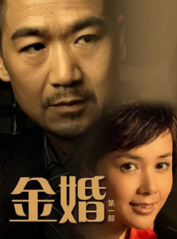 《金婚》[2007年][家庭][夸克网盘]