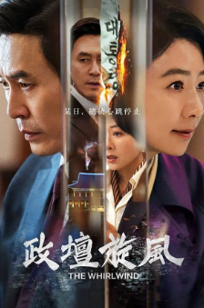 [韩剧]《政坛旋风》[2024年][夸克网盘][豆瓣评分7.8]