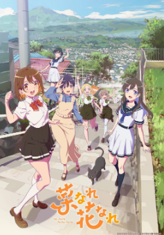 [日剧]《亦叶亦花》[2024年][夸克网盘]