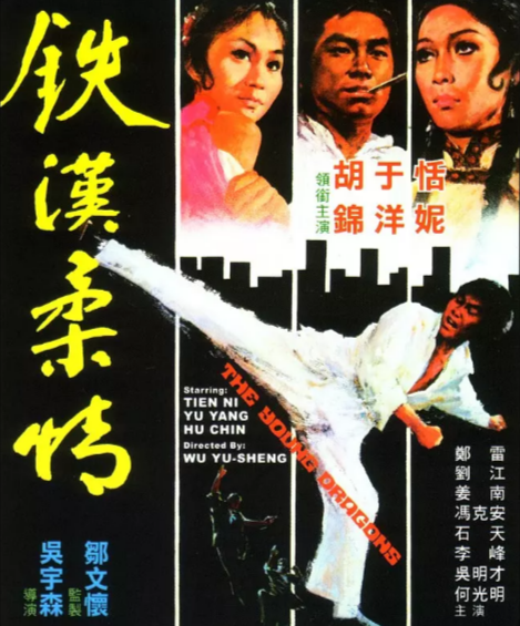 《铁汉柔情》[1975年][夸克网盘]