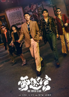 [国产剧]《雪迷宫》[2024年][悬疑/犯罪][夸克网盘]