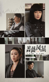 [国产剧]《蔷薇风暴》[2024年][夸克网盘]