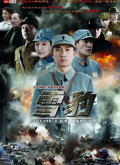 [国产剧]《雪豹》[2010年][战争][夸克网盘]