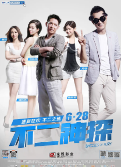 《不二神探》[2013年][喜剧/动作/犯罪][夸克网盘]