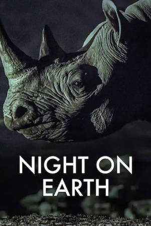 [英国纪录片]《地球的夜晚》[2020年][夸克网盘]-交个盘友影视资料资源网