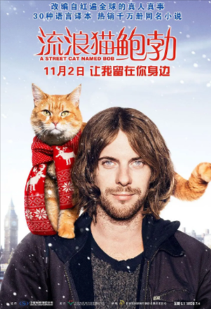 《浪漫猫鲍勃》[2016年][喜剧 传记][夸克网盘][豆瓣7.9]