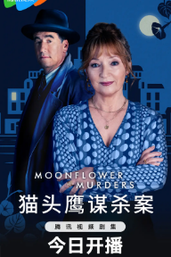 [英剧]《月光花谋杀案》[共2季][2022-2024年][夸克网盘][8.3分]