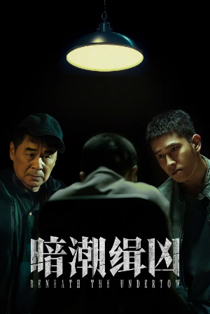 国产剧《暗潮缉凶》[2025年][剧情/犯罪][夸克网盘]主演: 陈建斌 / 陈若轩 / 李溪芮