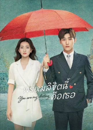 国剧《你是我的命中注定》[2020年][爱情][夸克网盘]主演: 邢昭林 / 梁洁 / 傅菁