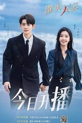 国产剧《继承风暴》[2025年][夸克网盘]主演: 赵佳 / 王星玮