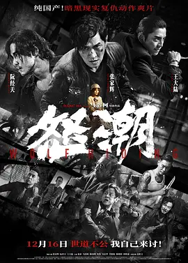 国产电影《怒潮》[2023年][动作/悬疑/犯罪][夸克网盘]主演: 张家辉 / 阮经天 / 王大陆