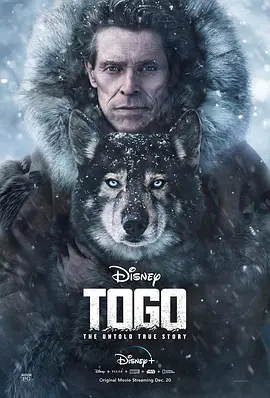 美国电影《多哥 Togo》[2019年][冒险][夸克网盘][中文字幕]