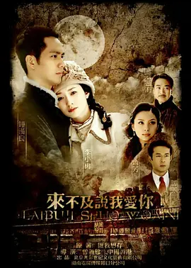 国产剧《来不及说我爱你》[2010年][爱情/战争][夸克网盘][中文字幕]