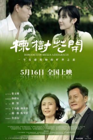 国产电影《楝树花开》[2025年][夸克网盘]