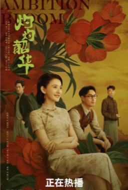 国产剧《灼灼韶华》[2025年][夸克网盘]