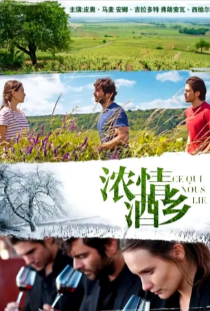 法国喜剧电影《浓情酒乡》[2017年][夸克网盘][中文字幕]