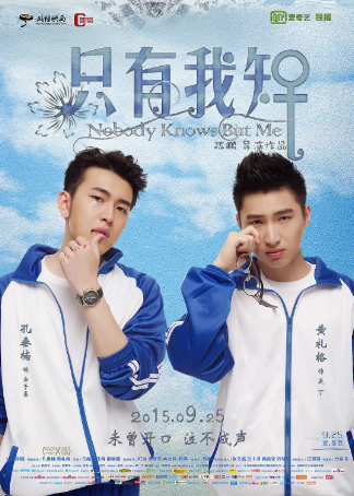 国产电影《类似爱情》[共2部][2014-2015年][爱情/同性][夸克网盘]