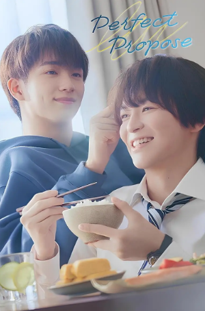 日剧《完美求婚》[2024年][夸克网盘][中文字幕]