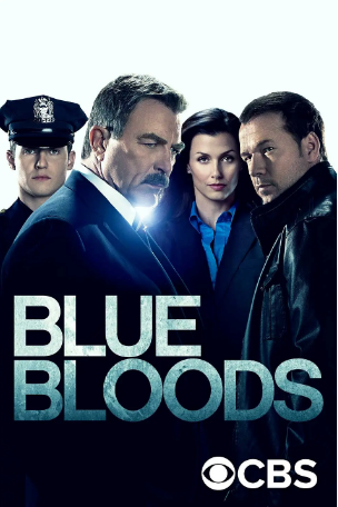 美剧《警察世家》[共14季][2010-2024年][犯罪][夸克网盘][中文字幕]