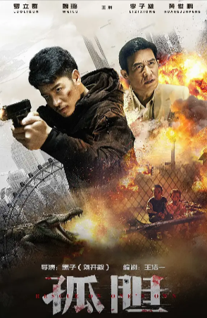 国产电影《孤胆》[2024年][动作/犯罪][夸克网盘]