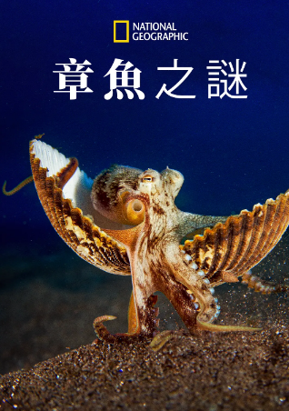 美国纪录片《章鱼的秘密》[2024年][冒险][夸克网盘][中文字幕]豆瓣8.5