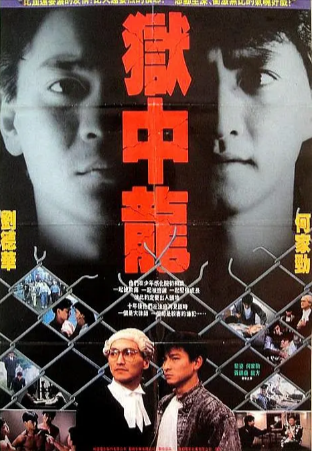 香港电影《狱中龙》[1990年][动作/犯罪][夸克网盘][中文字幕]