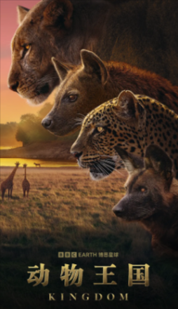 英国纪录片《动物王国》[2025年][夸克网盘][中文字幕]