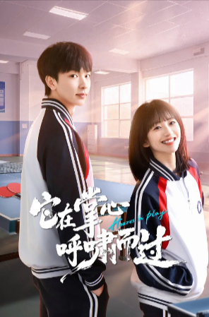 国产剧《它在掌心，呼啸而过》[2025年][喜剧/运动][夸克网盘]