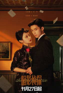 国产剧《暗影侦探》[2025年][悬疑][夸克网盘]