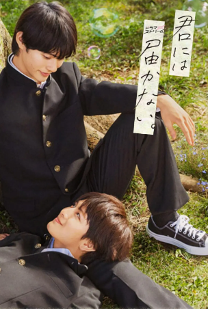 日剧《无法传达给你》[2023年][爱情/同性][夸克网盘][中文字幕]豆瓣7.9