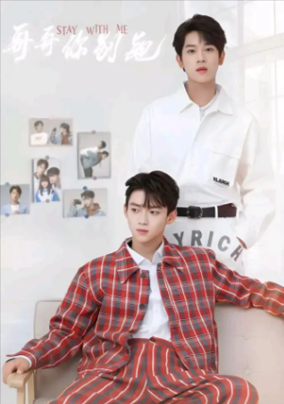 国产剧《哥哥你别跑》[2023年][爱情/同性][夸克网盘]