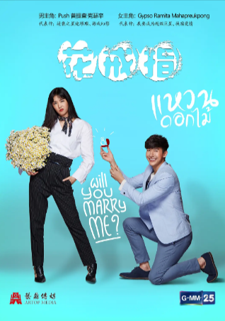 泰剧《花戒指》[2017年][夸克网盘][中文字幕]