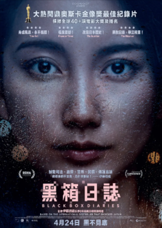 纪录片《黑箱日记》[2024年][夸克网盘][中文字幕]豆瓣9.2