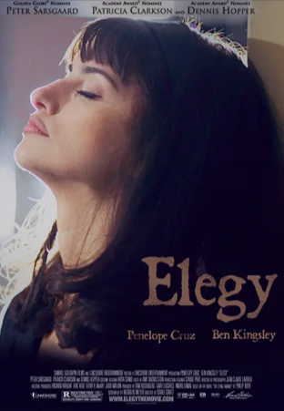 美国电影《挽歌》[2008年][爱情][夸克网盘][中文字幕]