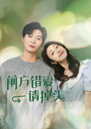 国产剧《前方错爱请掉头》[2024年][喜剧/爱情][夸克网盘]