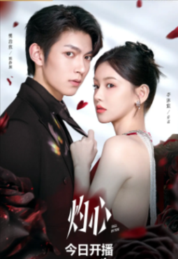 国产剧《灼心》[2025年][剧情爱情][夸克网盘]