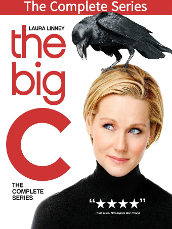 美剧《如果还有明天》[共4季][2010-2013年][喜剧][夸克网盘][中文字幕]豆瓣9.3