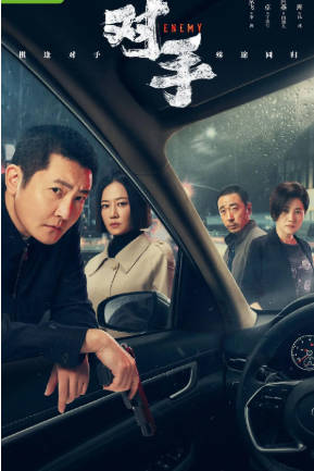 国产剧《对手》[2021年][剧情悬疑][夸克网盘][中文字幕]