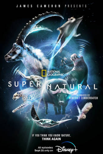 美国纪录片《超凡动物奇观》[2022年][夸克网盘][中文字幕]豆瓣9.5