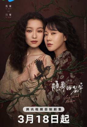 国产剧《隐身的名字》[2026年][剧情悬疑][夸克网盘]