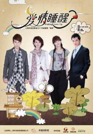 国产剧《爱情睡醒了》[2011年][剧情爱情][夸克网盘]